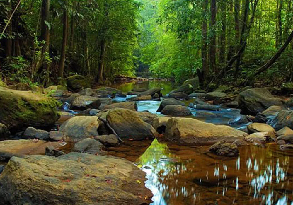 Nature Paradise Trek - Image 5