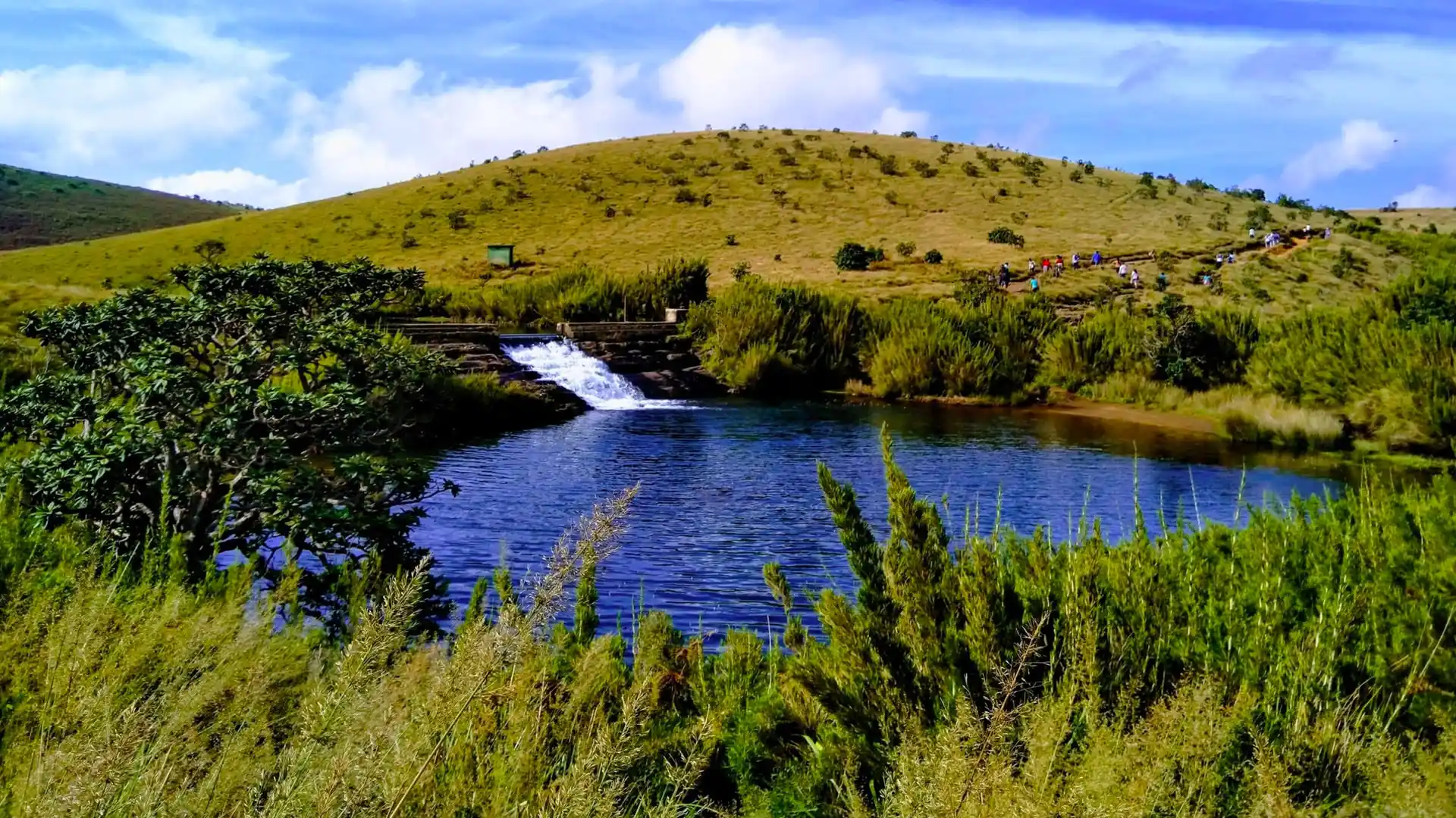 Nature Paradise Trek - Image 4